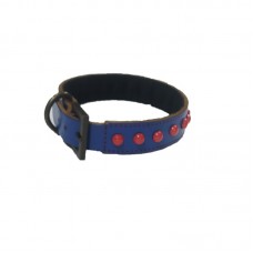 Rangers Dog Leather Collar 1 Inch
